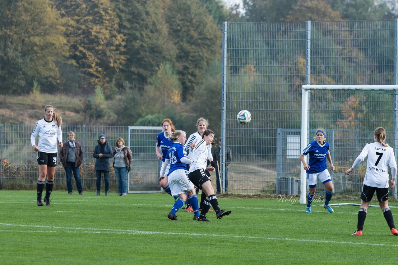 Bild 395 - Frauen FSC Kaltenkirchen - VfR Horst : Ergebnis: 2:3